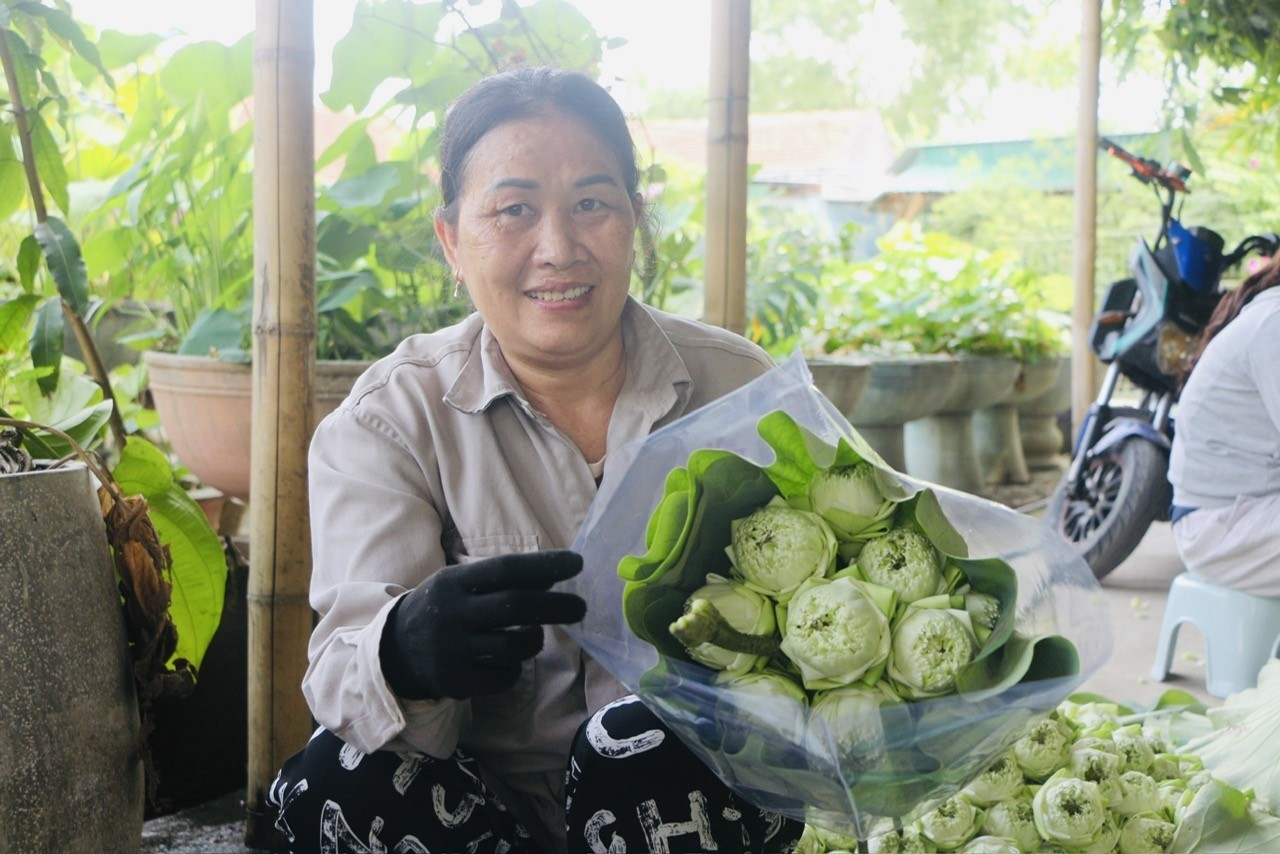 Sự kiện - Tháng Năm trên quê Bác toả ngát hương sen (Hình 9).