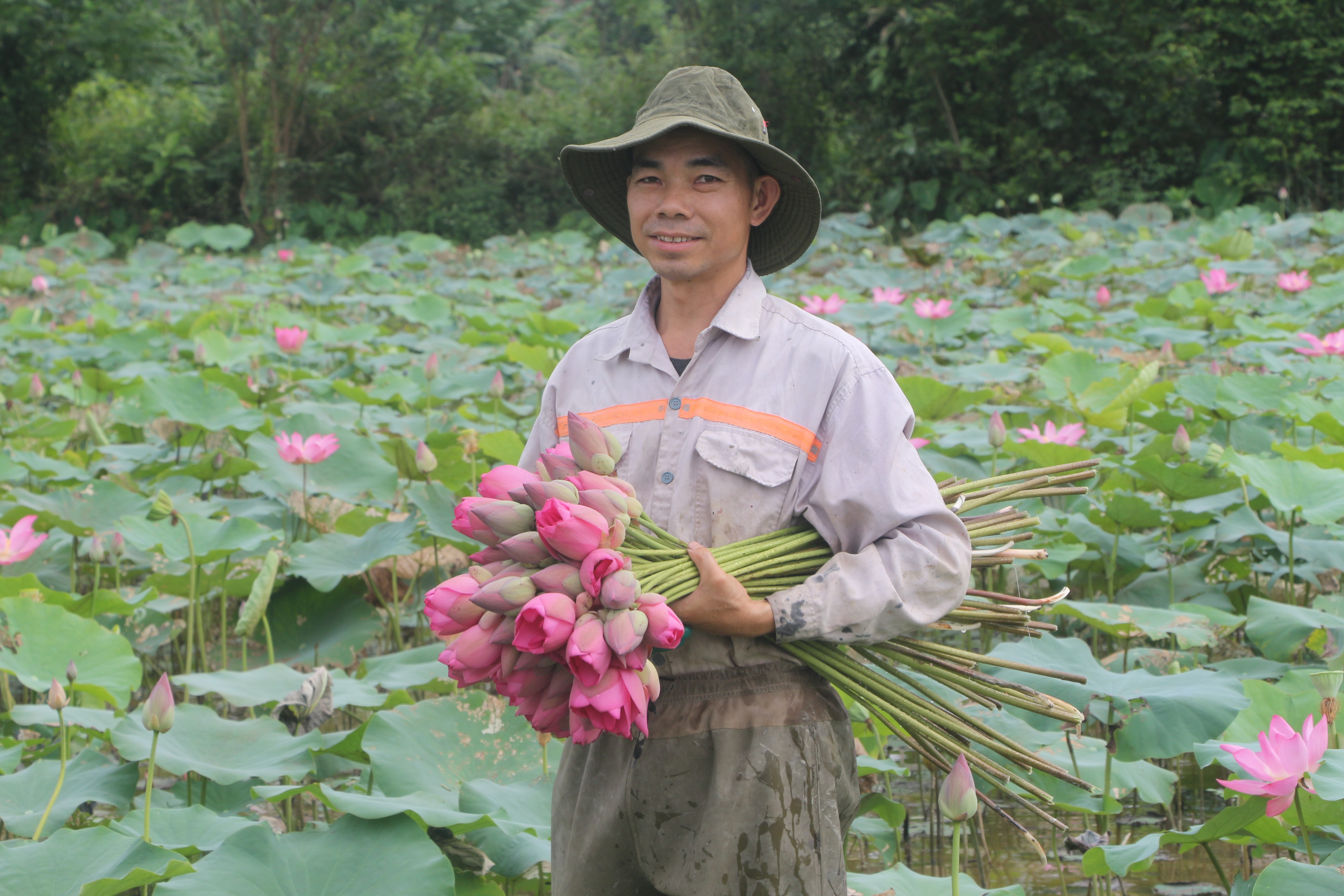 Sự kiện - Tháng Năm trên quê Bác toả ngát hương sen (Hình 8).