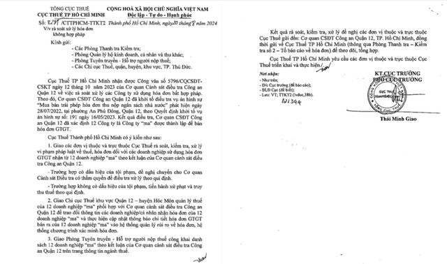 Cục Thuế Tp.HCM công bố 12 công ty “ma” bán hóa đơn GTGT trái phép- Ảnh 1.