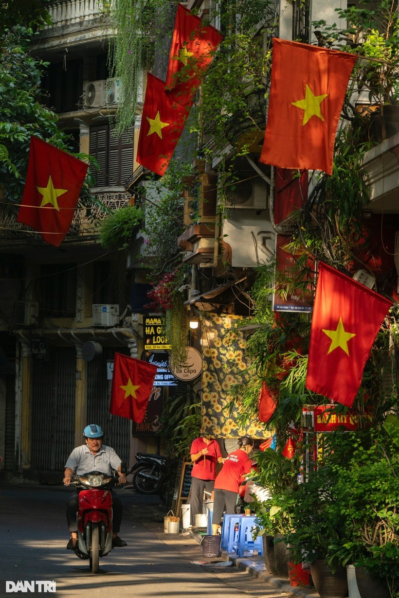 Hình ảnh lá cờ đỏ sao vàng xuất hiện tại khắp các ngõ ngách, phủ rợp lối đi tạo nên bức tranh vô cùng rực rỡ, đẹp mắt.