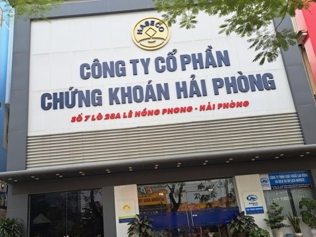 Đánh Giá Cổ Phiếu DHP: Cơ Hội Đầu Tư Hay Rủi Ro?