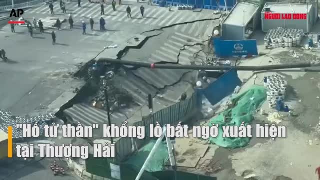 ho-tu-than-khong-lo-bat-ngo-xuat-hien-tai-thuong-hai-1770980334.mp4