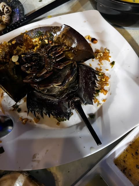 3 người ở Cà Mau nhập viện sau khi ăn tối tại quán ốc - Ảnh 1.