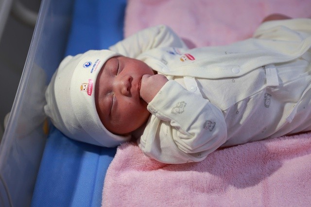 Đón chào những bé 'ngựa vàng' đầu tiên của năm Bính Ngọ ở TPHCM- Ảnh 4.