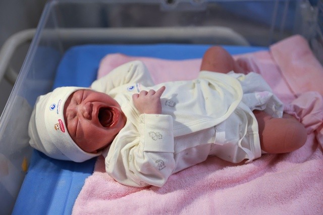 Đón chào những bé 'ngựa vàng' đầu tiên của năm Bính Ngọ ở TPHCM- Ảnh 1.