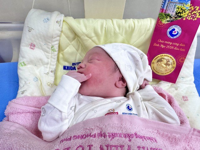 Đón chào những bé 'ngựa vàng' đầu tiên của năm Bính Ngọ ở TPHCM- Ảnh 6.