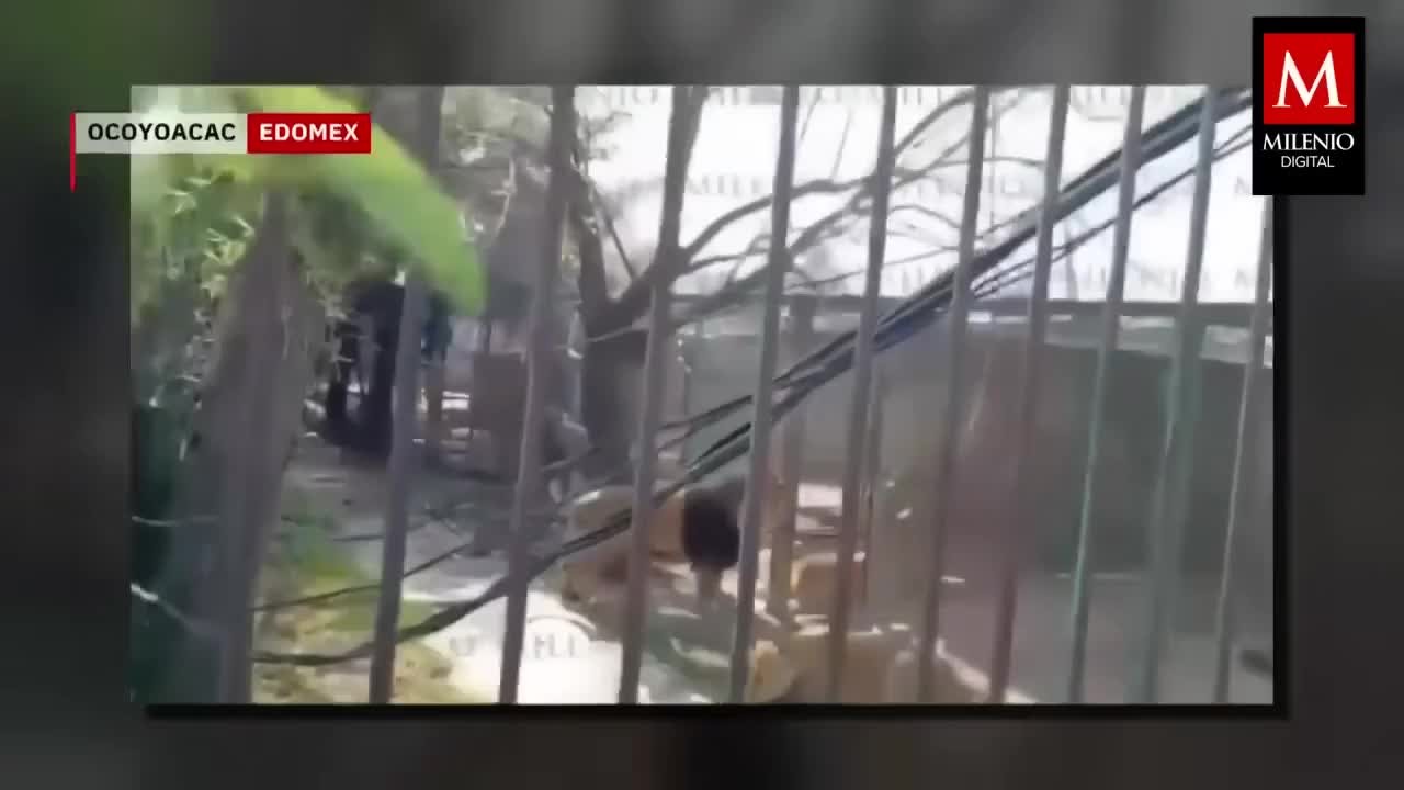 say-ruou-tha-su-tu-khoi-chuong-mot-nguoi-dan-ong-bi-tan-cong-trong-thuong-1773575761.mp4