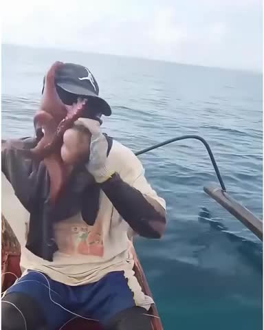 clip-duoc-dang-tai-thu-hut-su-chu-y-1775280867.mp4