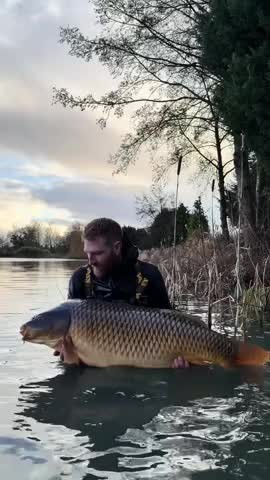 can-thu-cau-duoc-con-ca-chep-khong-lo-nang-gan-29kg-1775614820.mp4