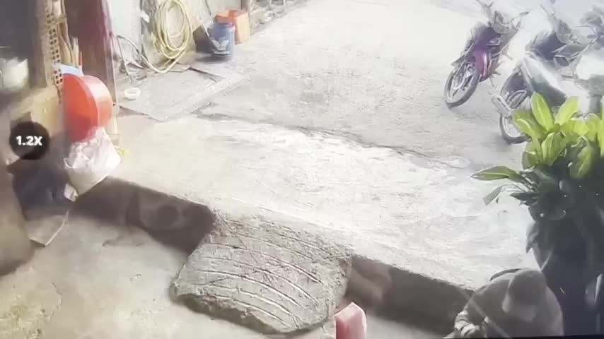 thanh-nien-hanh-hung-phu-nu-giua-pho-o-quy-nhon-tay-gay-phan-no-du-luan-1776672545.mp4