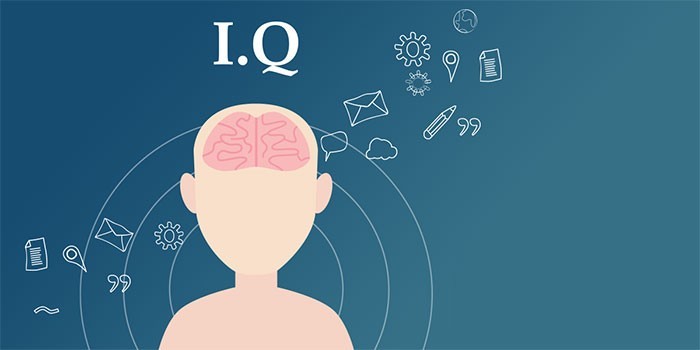 iq-1682933165246672942728-1682943421501-16829434226681627322039-1780555000.webp