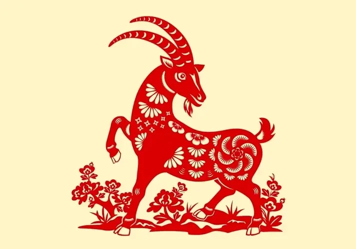 tuoi-mui-1780601836.webp