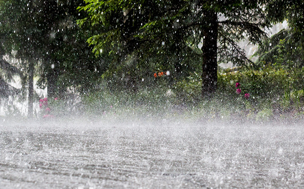 rainstorm-1597555471142647529293-crop-1597555542680599337407-1780887824.png