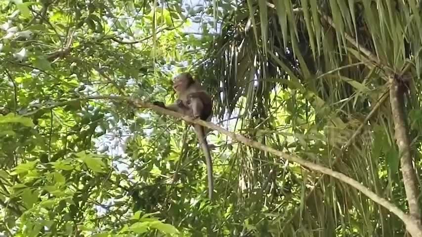 be-trai-7-tuoi-bi-khi-can-tu-vong-khi-dang-choi-ben-ngoai-nha-1781080734.mp4