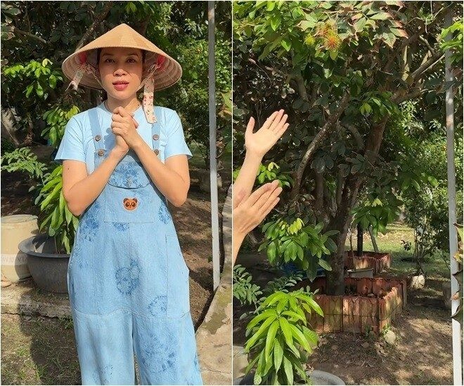 bat-ngo-voi-nha-mat-pho-va-biet-phu-hang-chuc-ty-cua-ca-si-my-tam-anh-5-1781326645.jpg