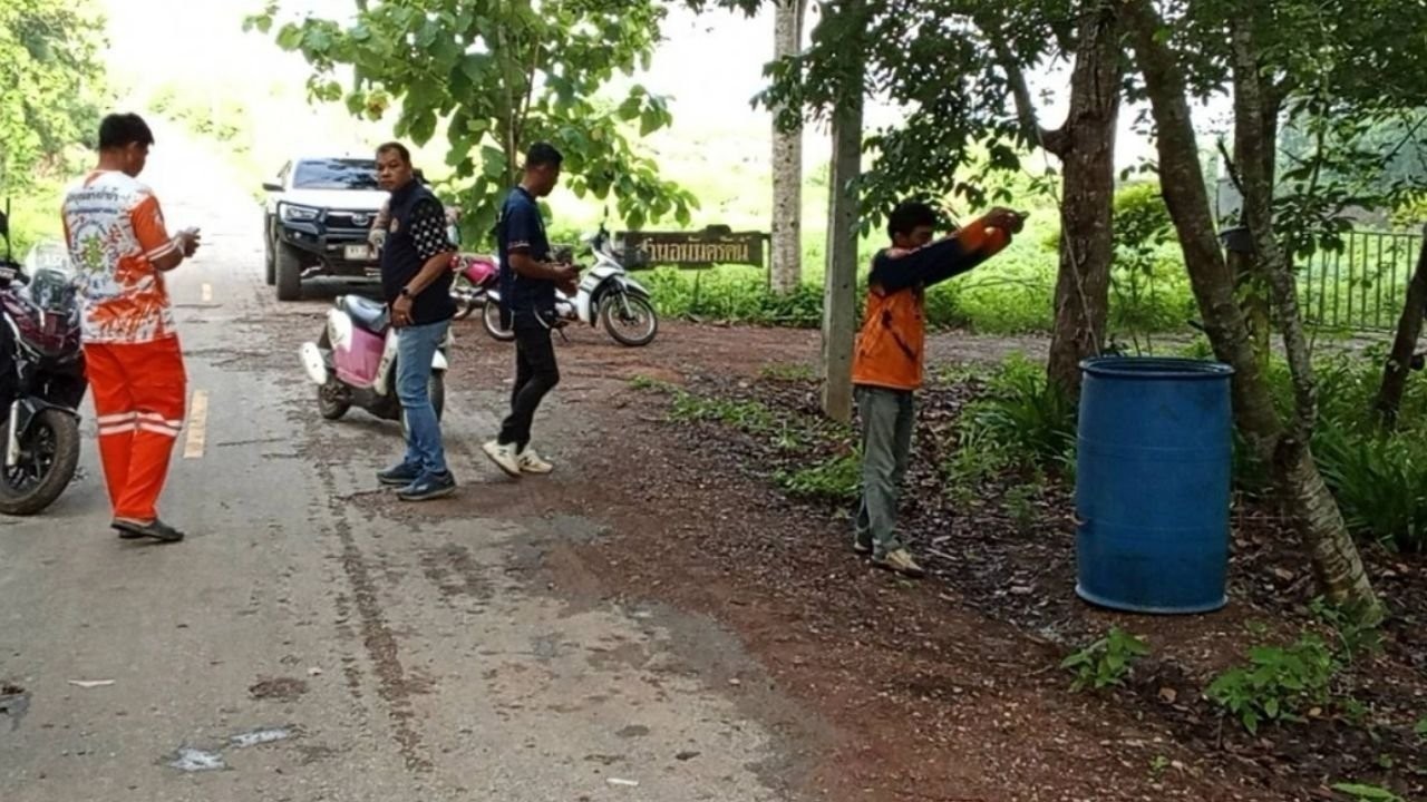 thi-the-1-1782114181.jpg