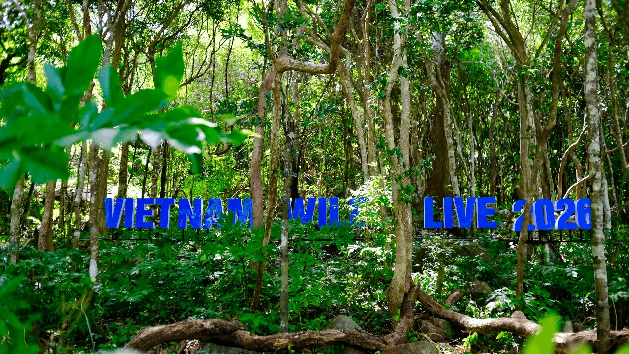 viet-nam-wild-life-2026-1782497597.webp