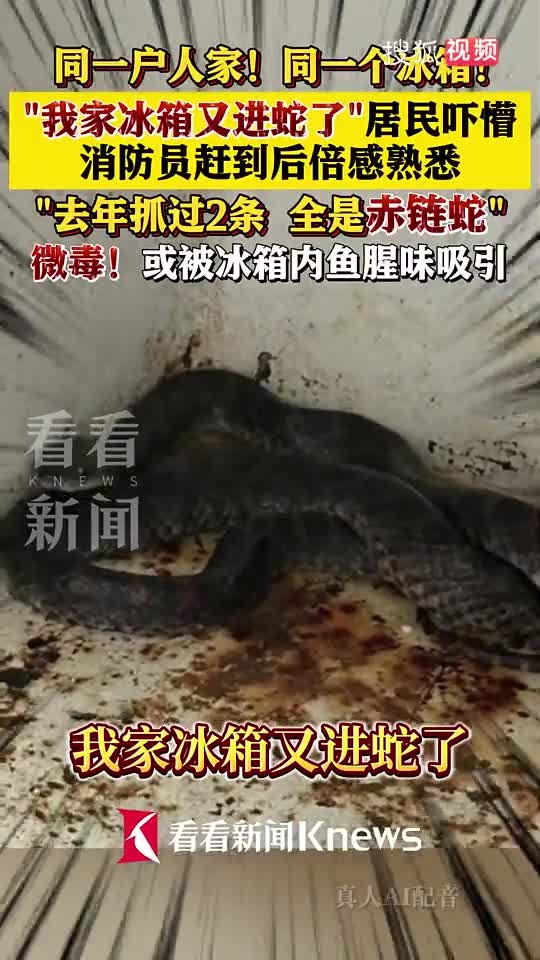 ran-1782880395.mp4