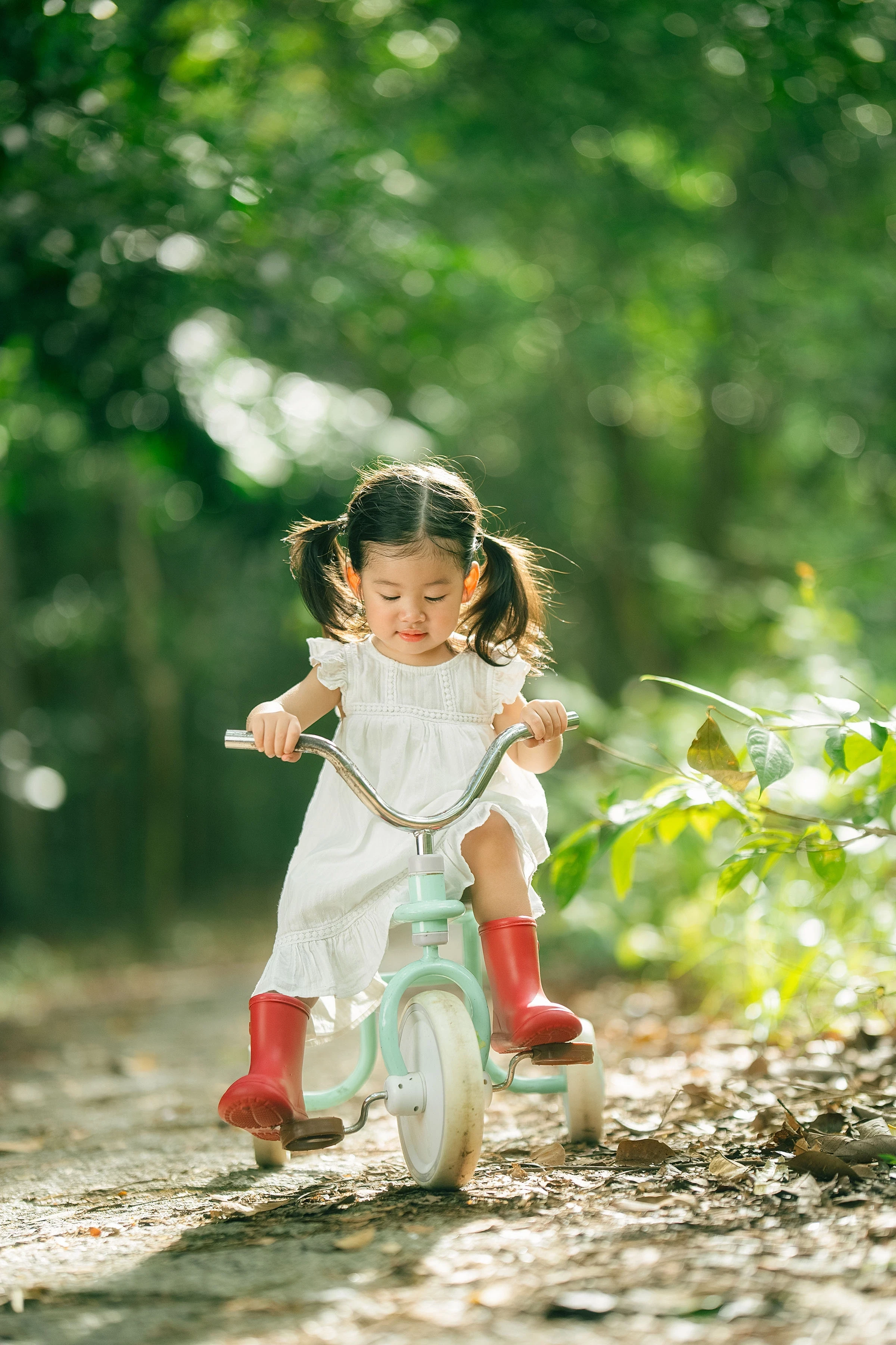 vu-hoang-my-11-1780293786-1784283786.webp
