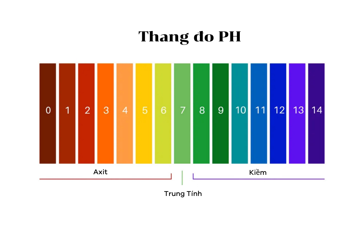 thang-do-ph-1787223832.png