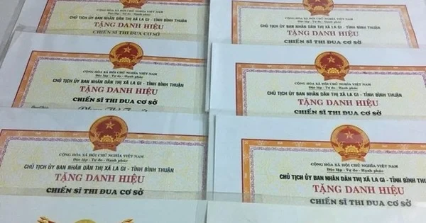 co-duoc-xet-tang-2-danh-hieu-thi-dua-khong-1788432598.webp