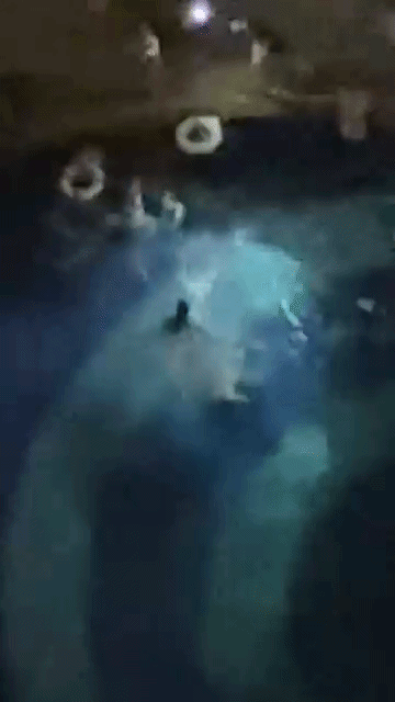 ezgif-7f430cd3ccdf49ab-17871092199521302169308-1787130784.gif