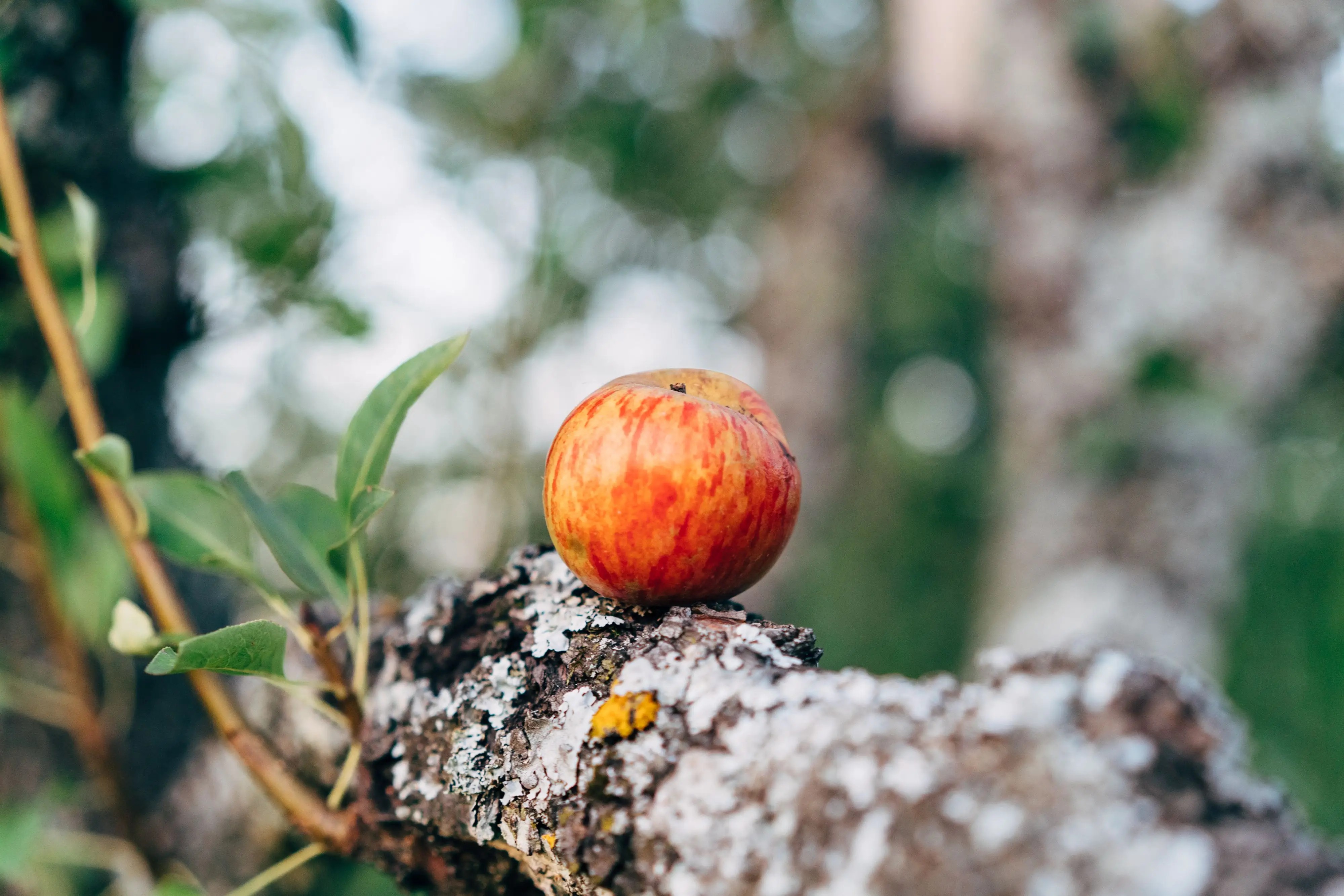 1-1792726802.jpg