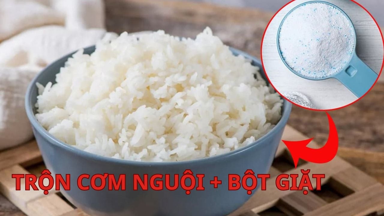 tron-bot-giat-voi-com-nguoi-loi-ich-tuyet-voi-ca-gia-dinh-deu-thich-171620-1780492412.jpg