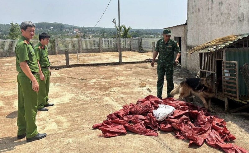 pha-duong-day-ma-tuy-quy-mo-lon-1710993101.jpg