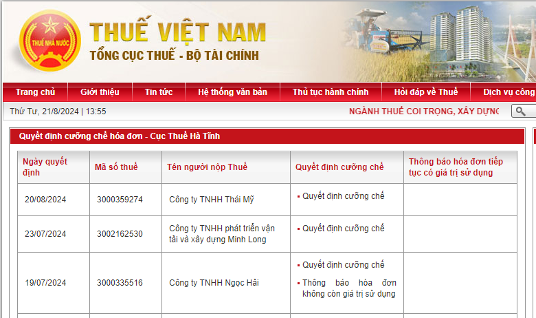 thong-tin-cuong-che-thai-my-tren-tong-cuc-thue-1724223811.png