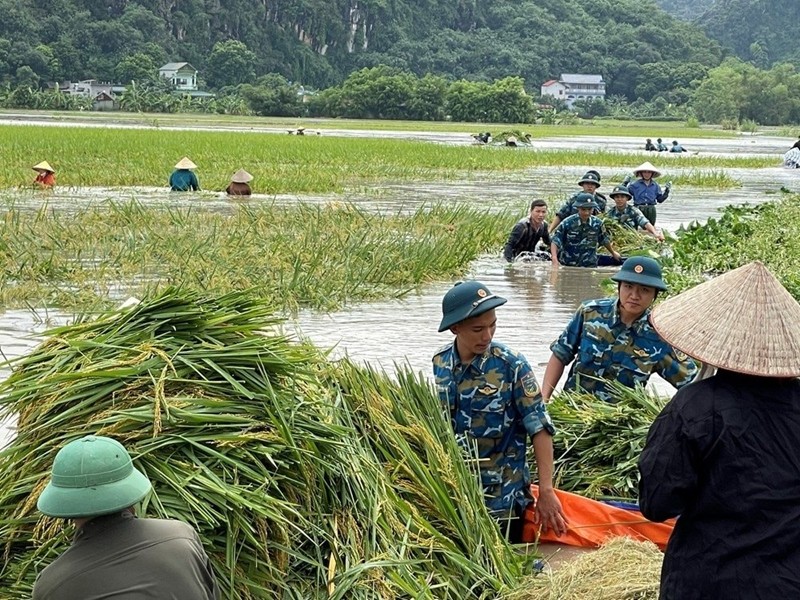 so-38-anh-1-cac-luc-luong-ho-tro-nguoi-dan-gat-lua-arkg-1729323593.jpeg