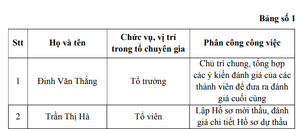 to-chuyen-gia-1731917966.png