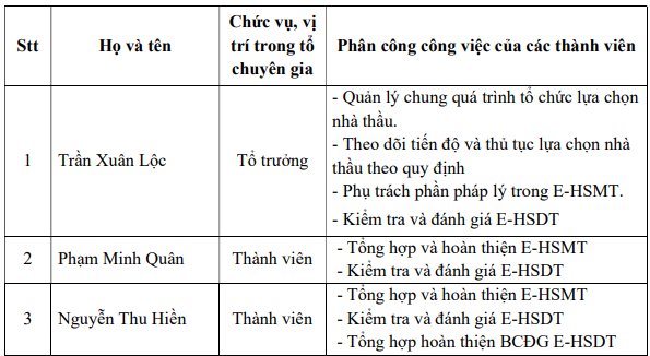 to-chuyen-gia-goi-1-1732004337.png