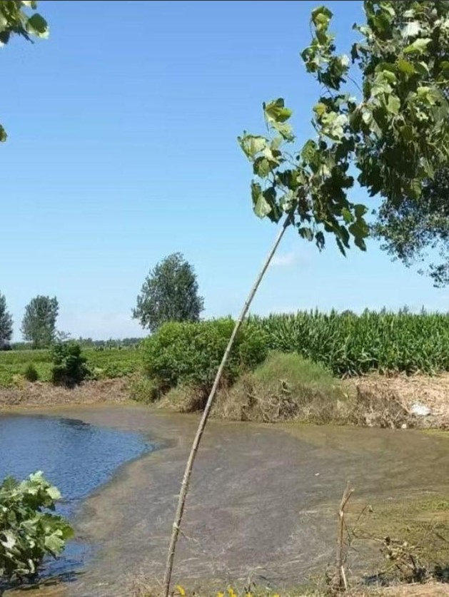 thieu-nu-bi-hiep-dam-2-1740706560.jpg