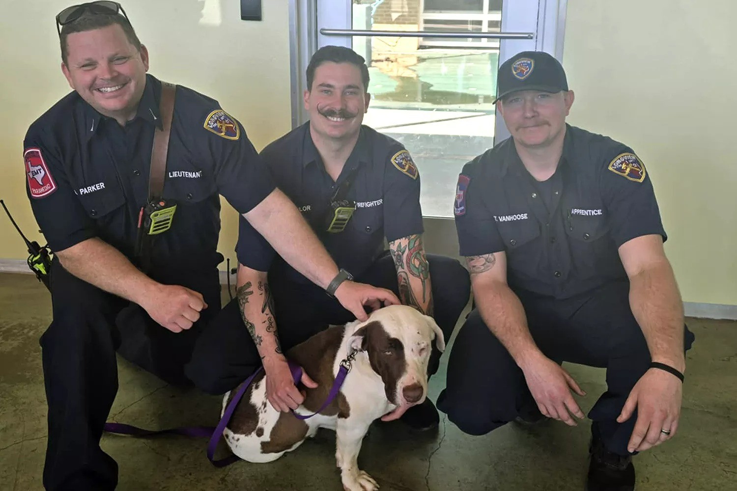 dog-found-trapped-at-bottom-of-a-1741168870.jpg