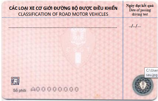 giay-phep-lai-xe-2-1741253972.png
