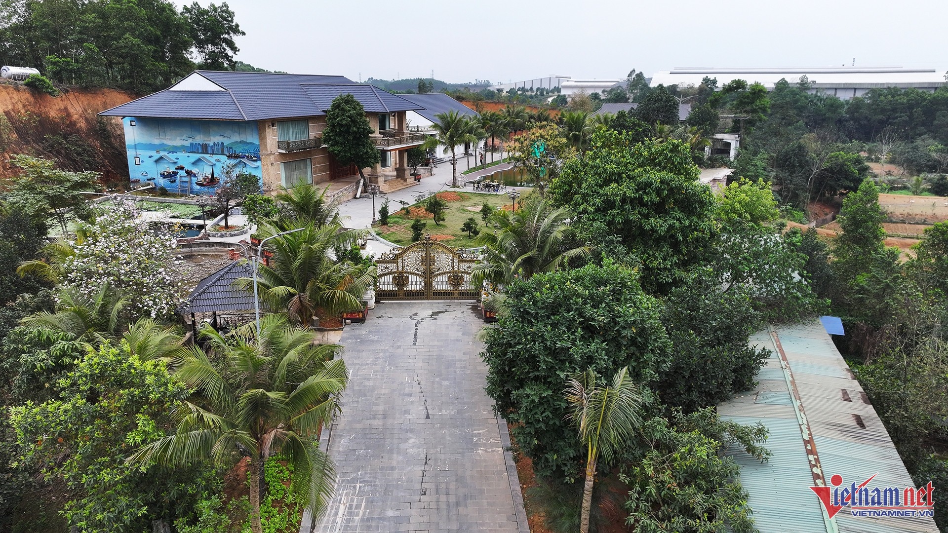 w-tuan-trang-9-73159-1741332889.jpg