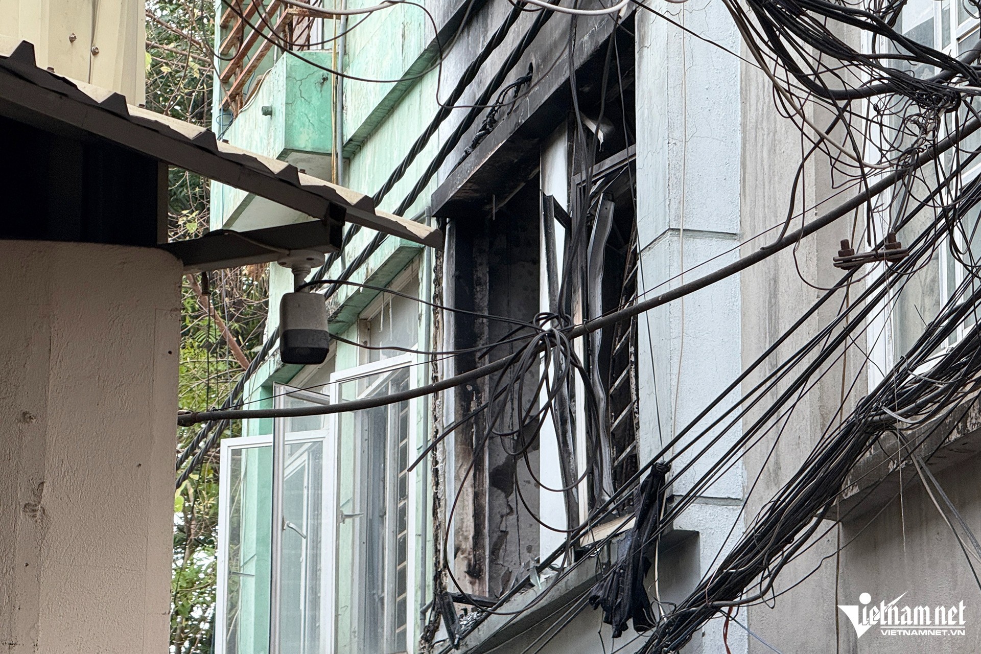 w-hientruongvuchay4-35529-1745808373.jpg