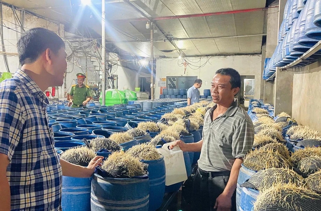 lao-cai-1-1748318485359932591206-1748330501.webp