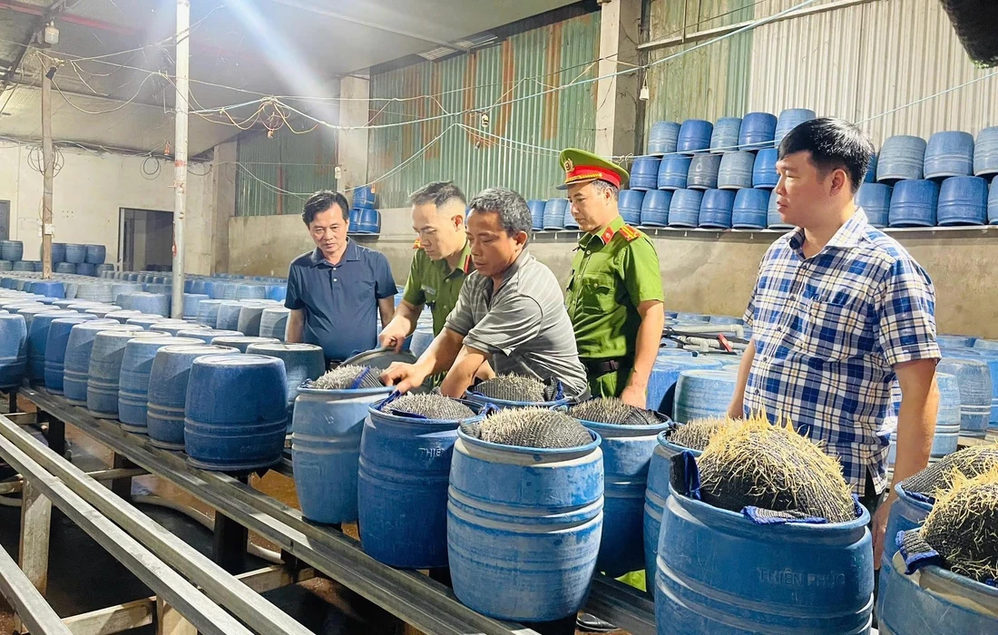lao-cai-9-1748322865856782674397-1748330501.webp
