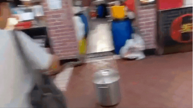 snake-in-teck-whye-4-1755247057.gif