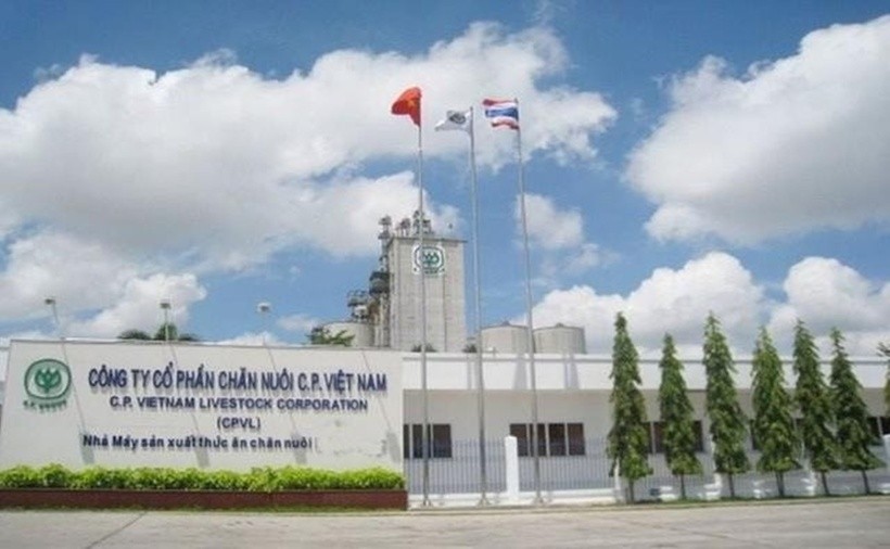 tinh-hinh-kinh-doanh-cua-dai-gia-nuoi-heo-c-p-tai-thi-truong-viet-nam-ra-sao-20162594-1755558550.jpg