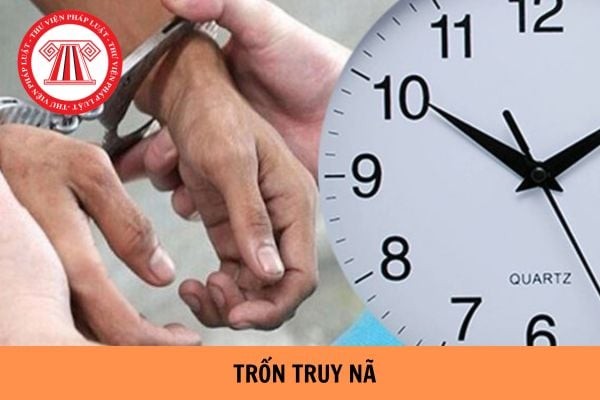 tron-truy-na-1755690962.jpg