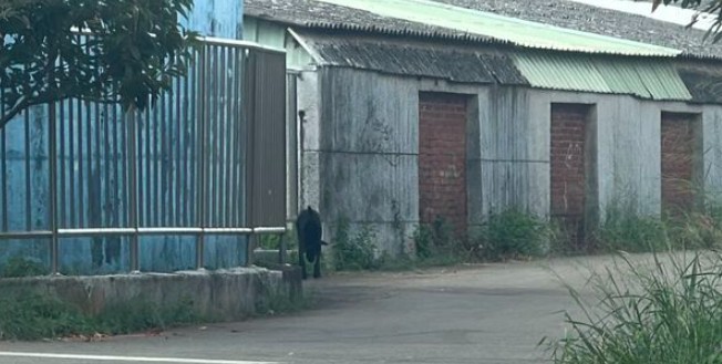 nu-sinh-tu-vong-2-1758080569.jpg