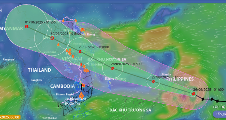 bao-1758869927.png
