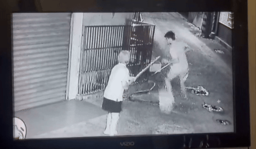 man-stabs-dog-metal-pipe-2-man-in-taiwan-fatally-stabs-neighbour-s-dog-with-metal-pipe-was-allegedly-annoyed-by-its-constant-barking-1759310702.gif