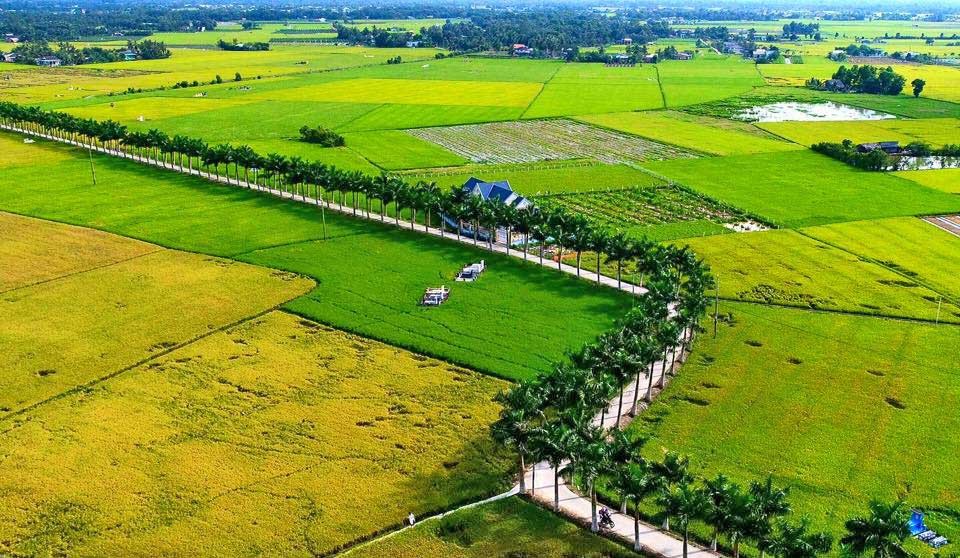 nong-thon-1778056668.jpg