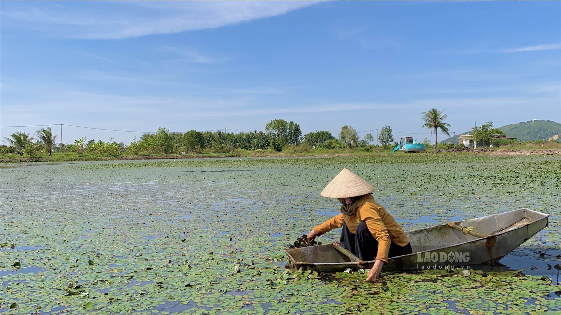 au-hai-phong-11-1778514308.jpg