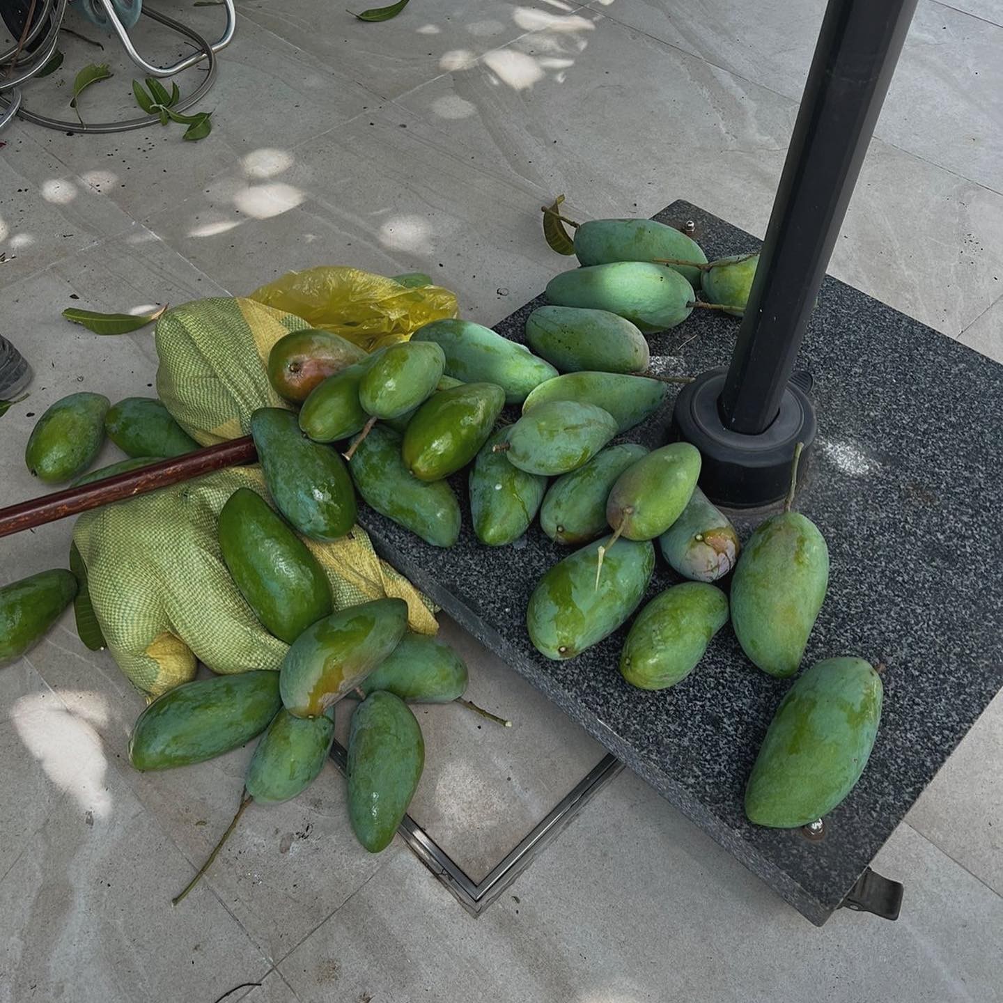 hatangthanh3131264667099183498s2026-5-10-2329156-story-17784321348901348579621-1778463247020-17784632472181882444636-131911-1779088324858-1779088325125196228556-1779160912.jpg