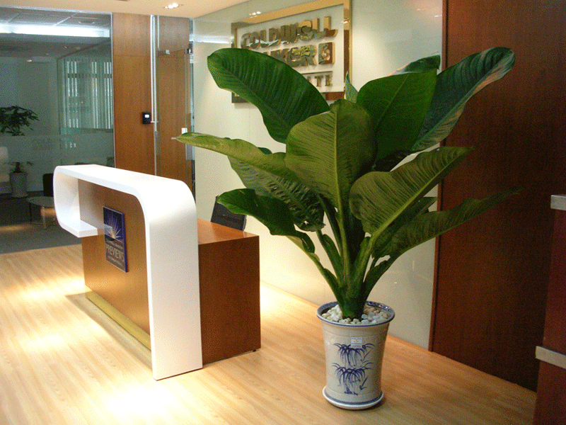image-20200610095440-1-1779836210.png